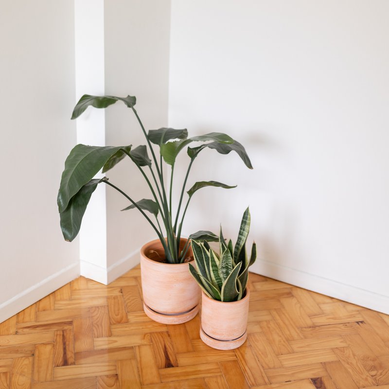 Bari ceramic vase plant handmade