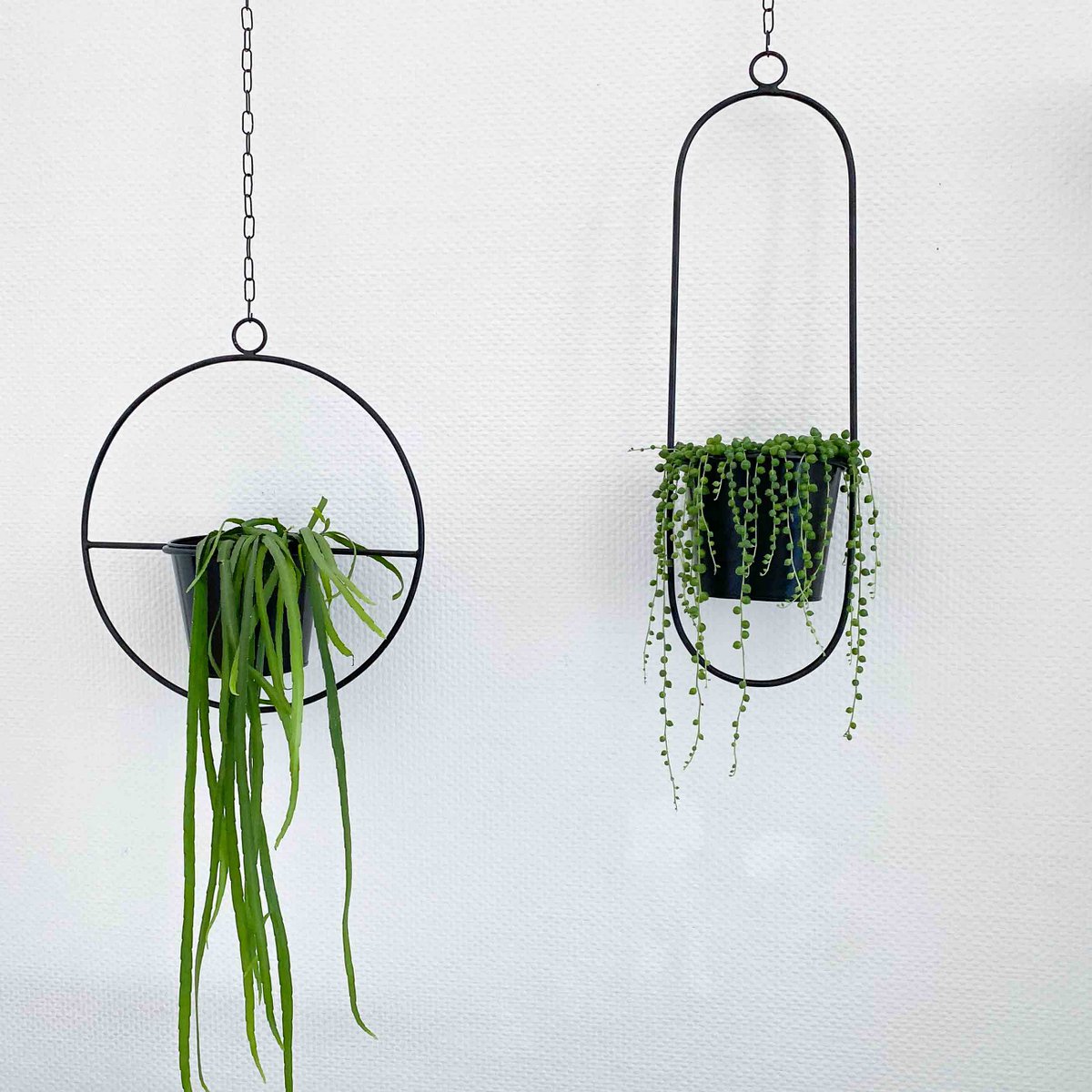 Wisząca doniczka, ozdobny pierścionek z doniczką "Hanging Garden" Okrągły, czarny