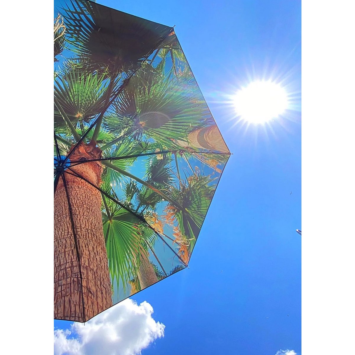 Paradise Umbrella – Windproof & UPF50+ Protection