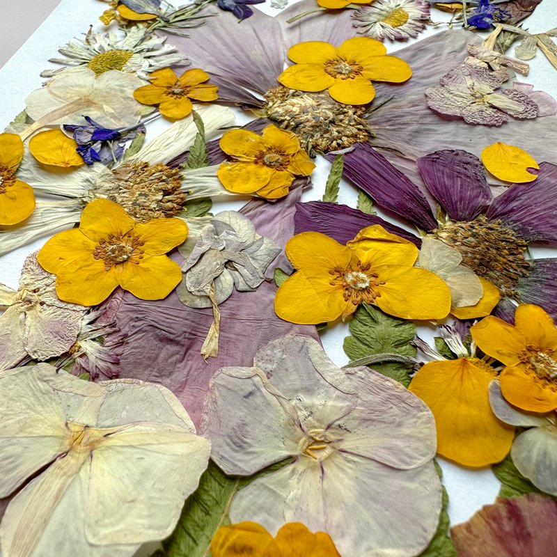 Geperste Bloemen Set 35-40 stuks Gedroogde Bloemen Voor Ambacht