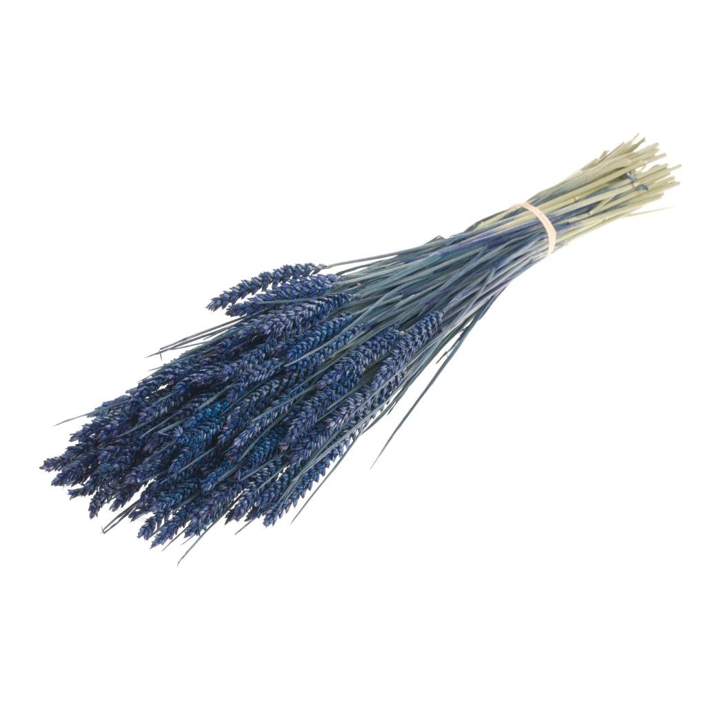 Wheat, approx. 150g, 60-65cm, dark blue