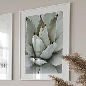 Plantkunde No3