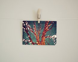 Carte postale arbre de lumières (PK_028)