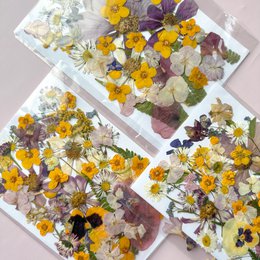 Geperste Bloemen Set 35-40 stuks Gedroogde Bloemen Voor Ambacht