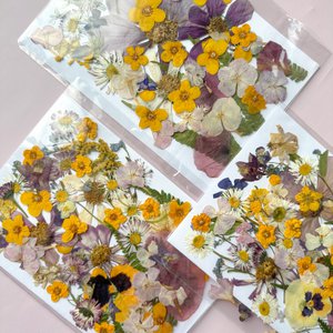 Pressed Flowers Set 35-40 pieces Dried Flowers For Craft