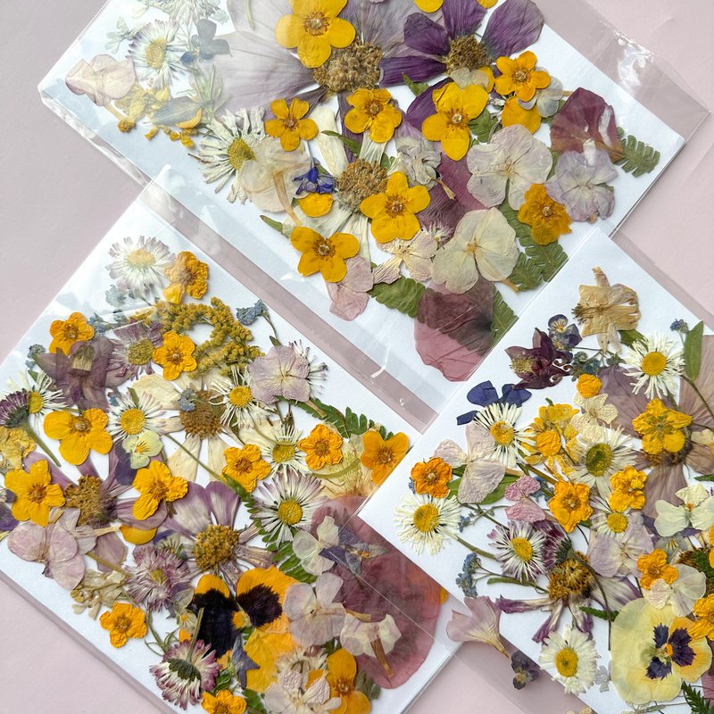 Geperste Bloemen Set 35-40 stuks Gedroogde Bloemen Voor Ambacht
