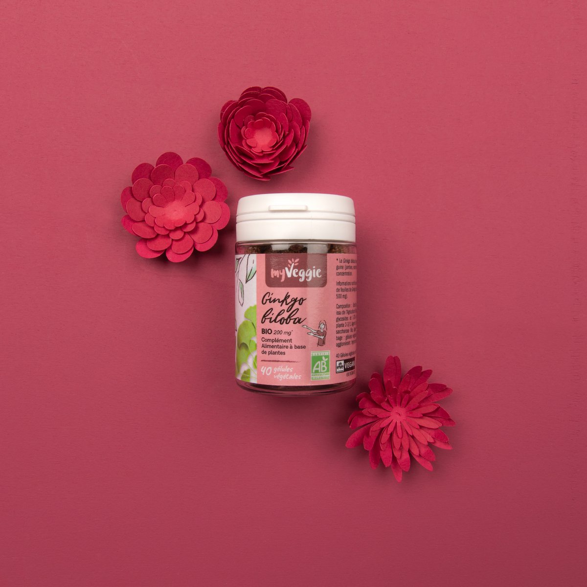 my Veggie Ginkgo biloba BIO (pillendoosje 40 capsules)