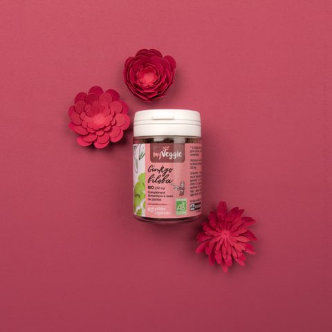 my Veggie Ginkgo biloba BIO (pillendoosje 40 capsules)