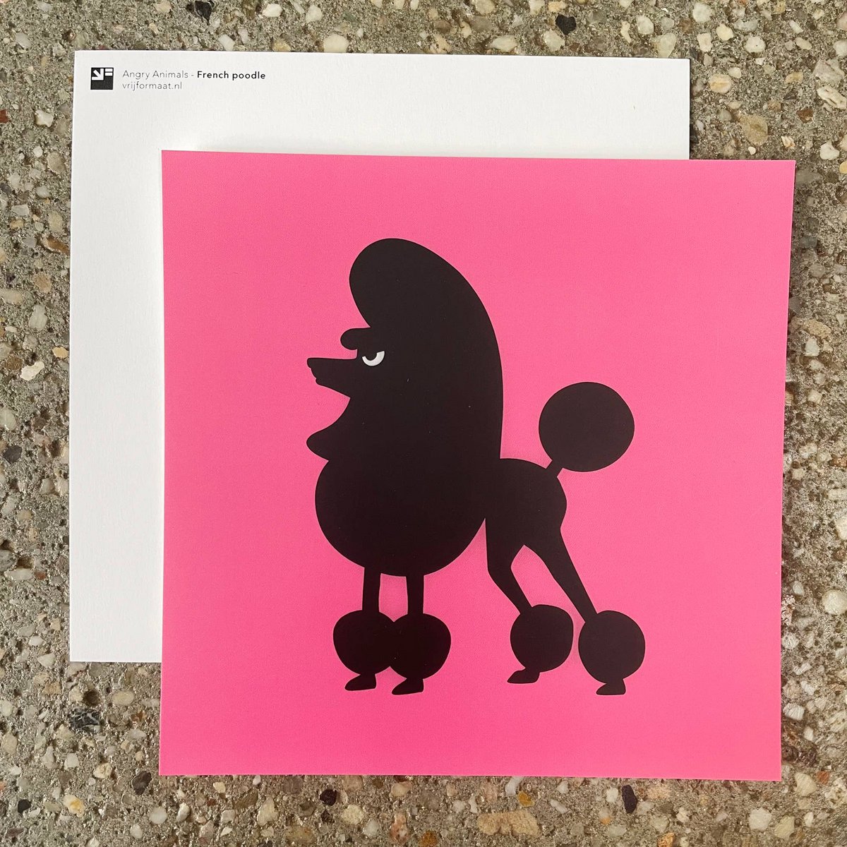 postcard - French Poodle  (Angry Animals)