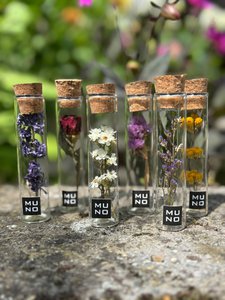 Röhrchen 10 cm mit getrockneter Blume - Geschenk