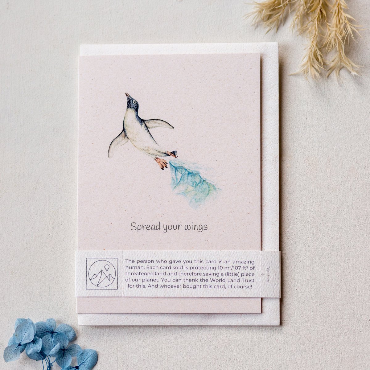 Funny 'Spread your wings' Penguin Greeting Card