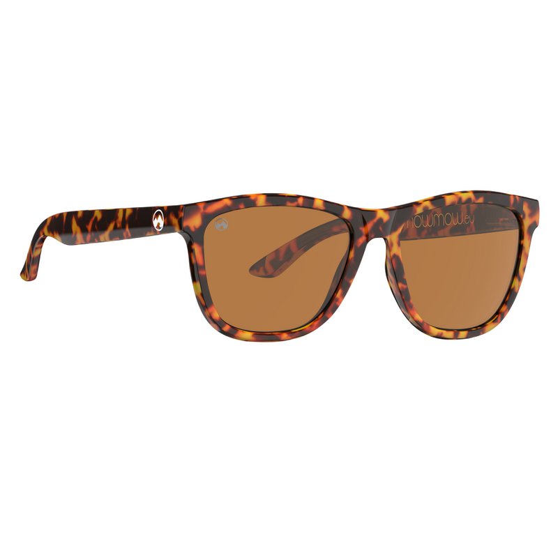 Terra - Tartotalizzazione Frame marrone scuro | lente ambra