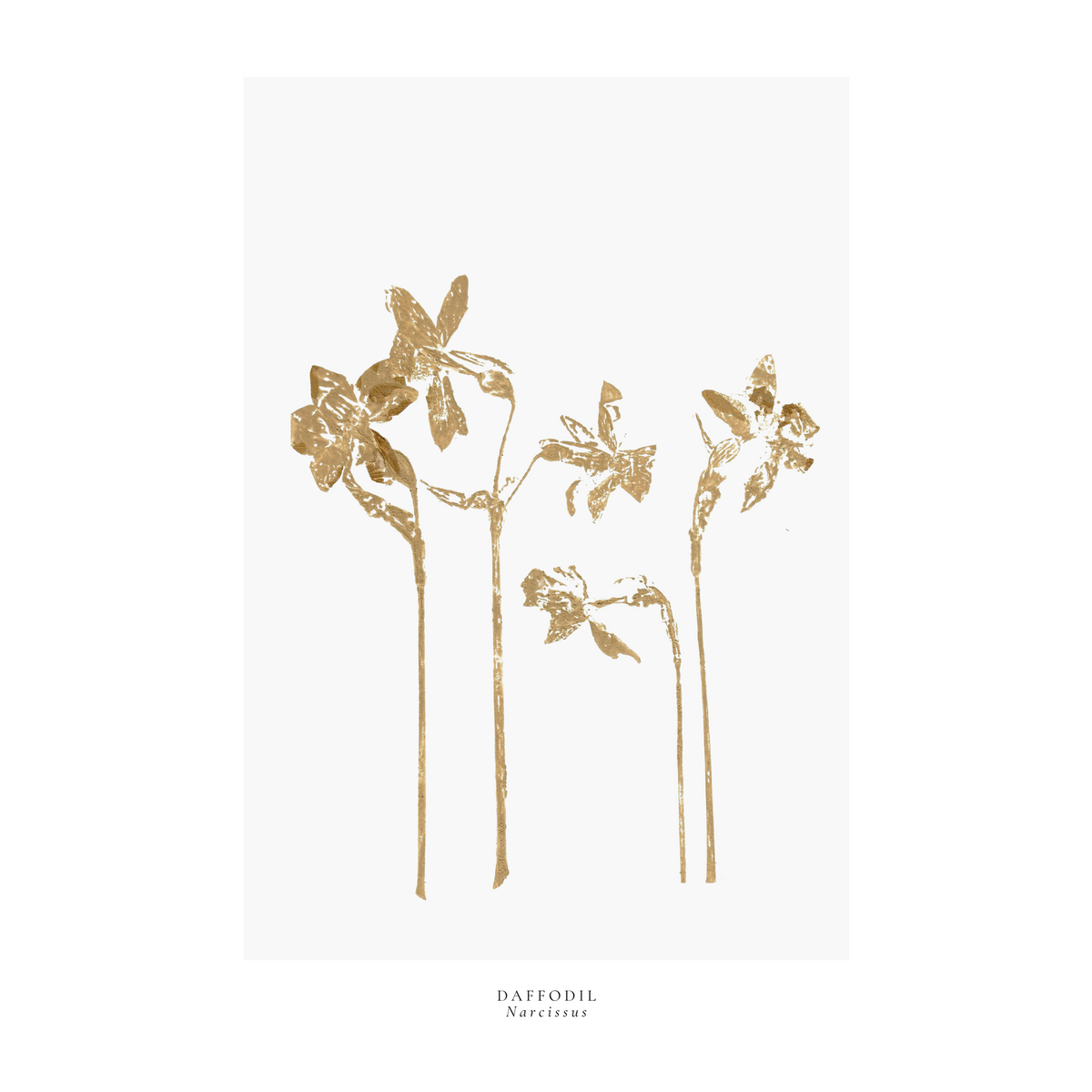 a year in bloom. Set of 12 handprinted floral postcards.