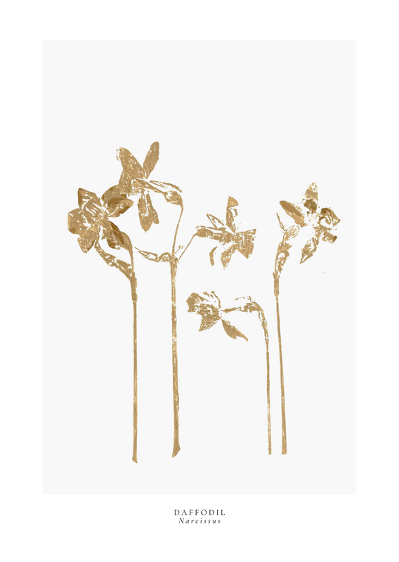 a year in bloom. Set of 12 handprinted floral postcards.