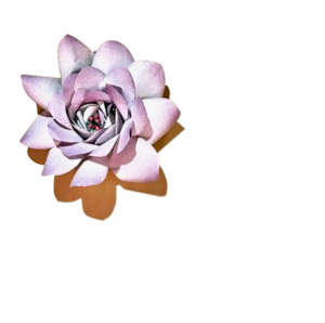 Wall Flower Lilac