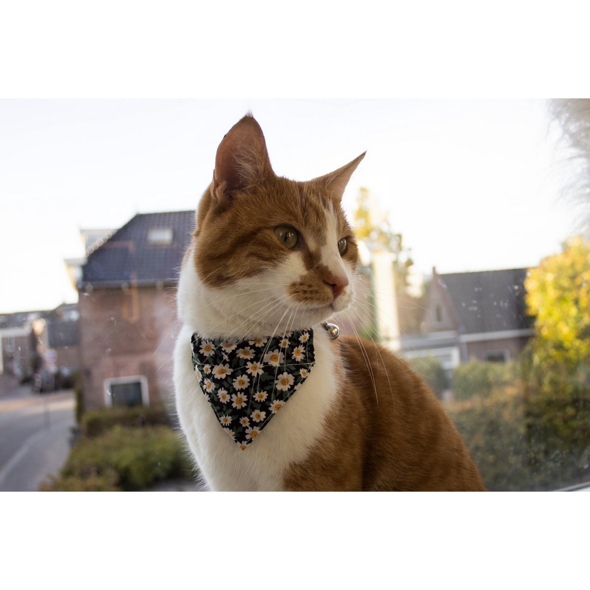 ByTiekeman – Katzenhalsband – Schwarz/Weiß – 20–30 cm