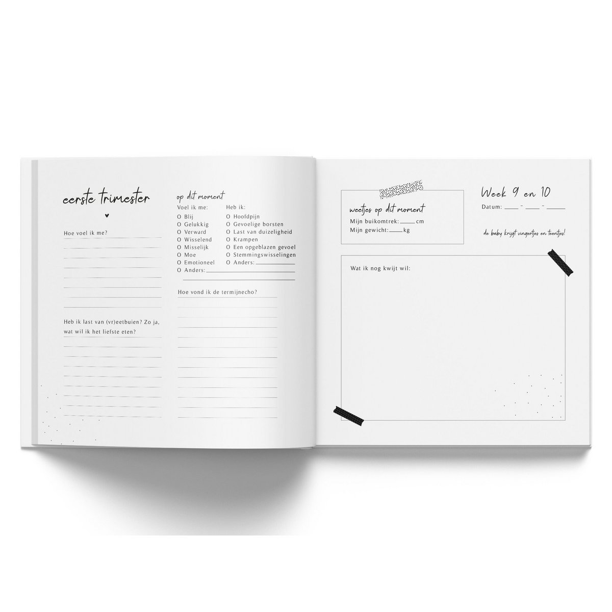 Fyllbooks mi diario de nueve meses