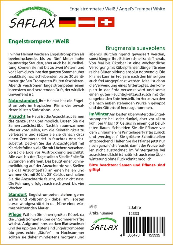 Angel trompet / hvid