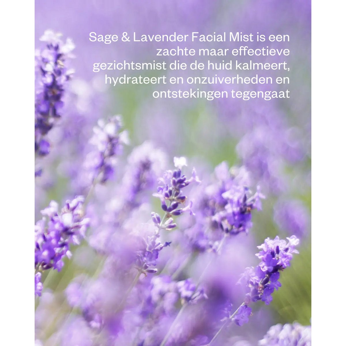 Sage & Lavender Floral Water Facial Mist - Balancing & hydrating face spray