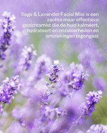 Sage & Lavender Floral Water Facial Mist - Balancing & hydrating face spray