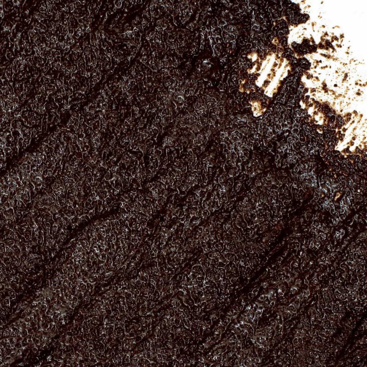 Face Scrub with Coffee + Rosehip Oil - Citrus Blend