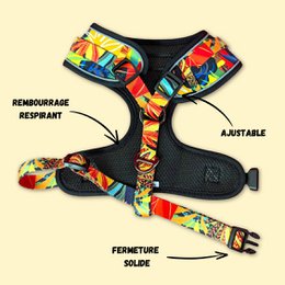 Tropical Classic Harness