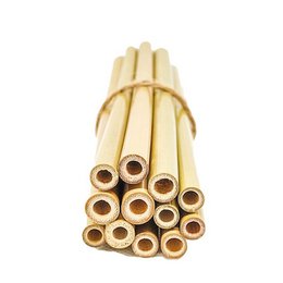 6 Bamboo Straws l Small model