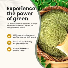 Moringa pulver økologisk - 60 gram