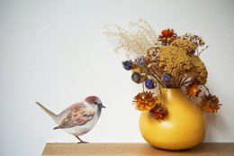 Wall sticker Huismus