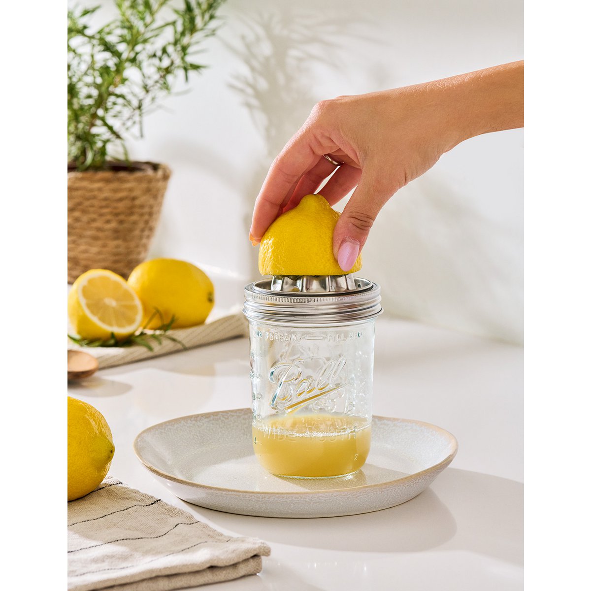 Juicer, 450 ml, glass/stainless steel