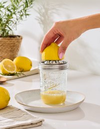 Juicer, 450 ml, glass/stainless steel