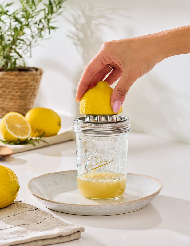 Juicer, 450 ml, glass/stainless steel