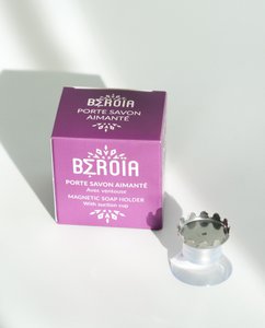 Magnetic soap dish with suction cup