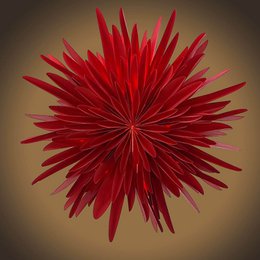 Stella-Dalia, ster van perkamentpapier rood 40 cm