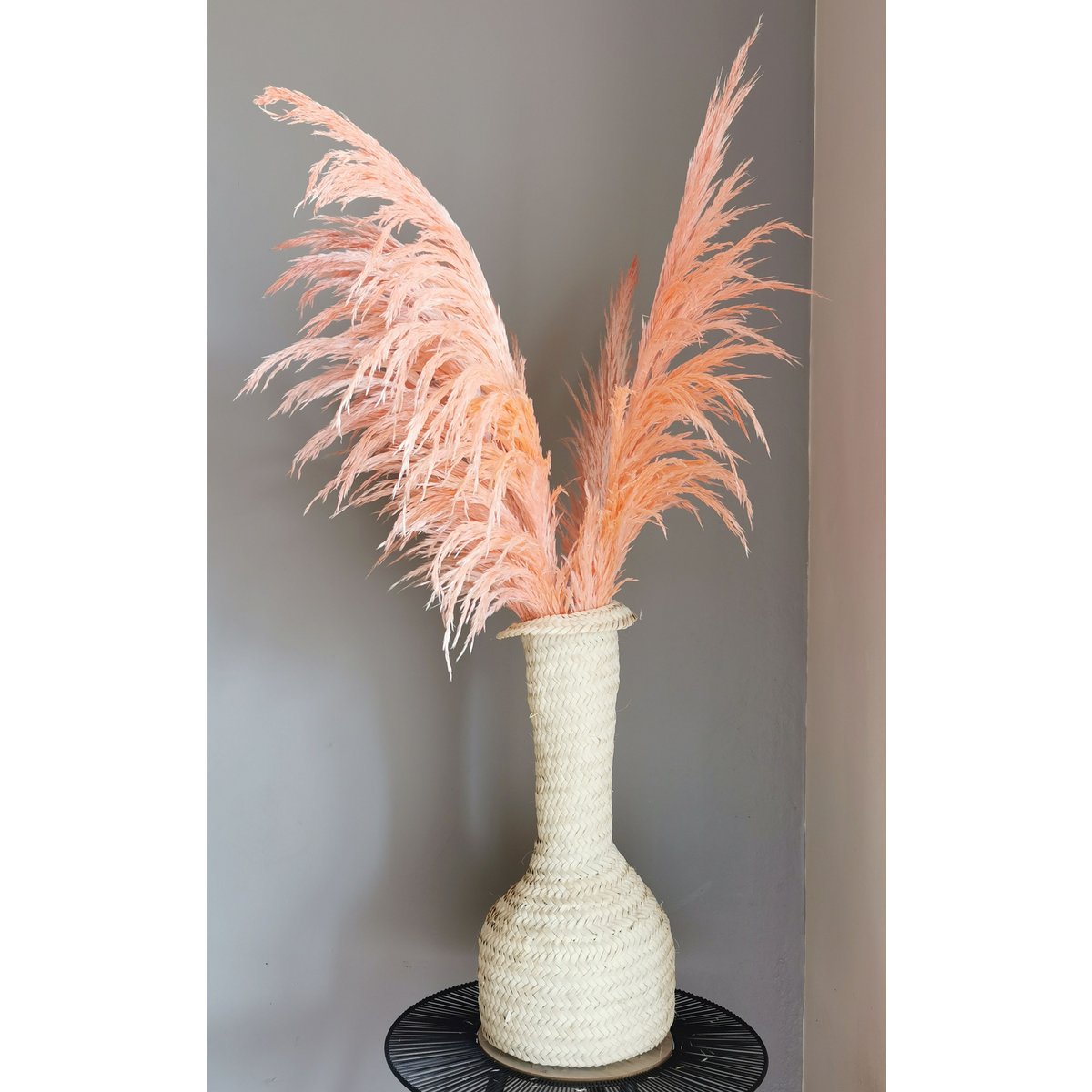 Preserved Pampas Grass, Coral, 80cm, 1 stem