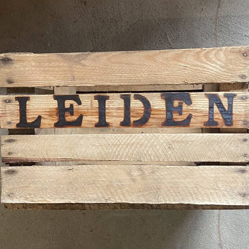 DREWNIANE PUDEŁKO / SKRZYNIA Leiden