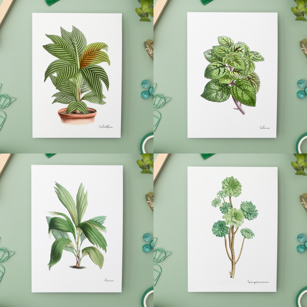 Green Pack - Handgemaakte Ansichtkaarten A6 met Envelop - Botanische Vintage