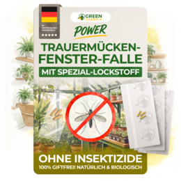 Fungus gnats window trap