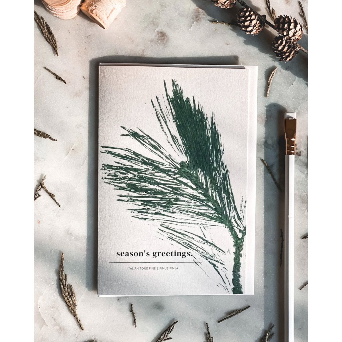 Saludos de la temporada - Tarjetas botánicas de Navidad / Invierno - Tarjetas inspiradas en la naturaleza