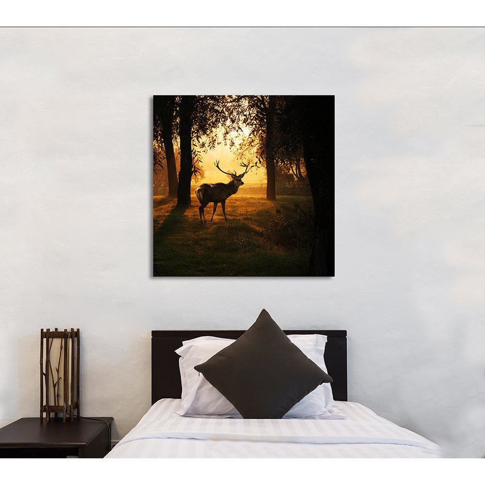 Acrylglasbild - Dusky