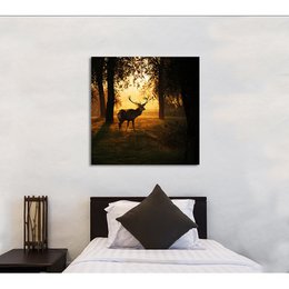 Acrylglasbild - Dusky