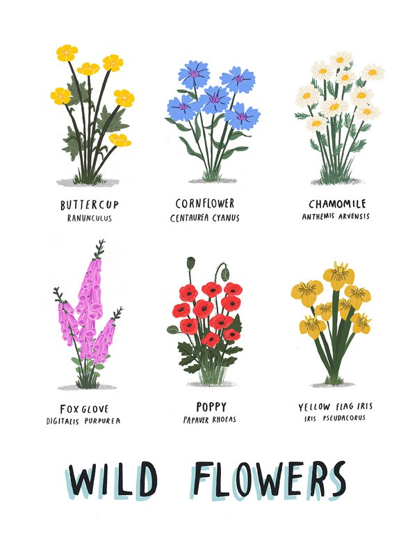 Wilde bloemen print