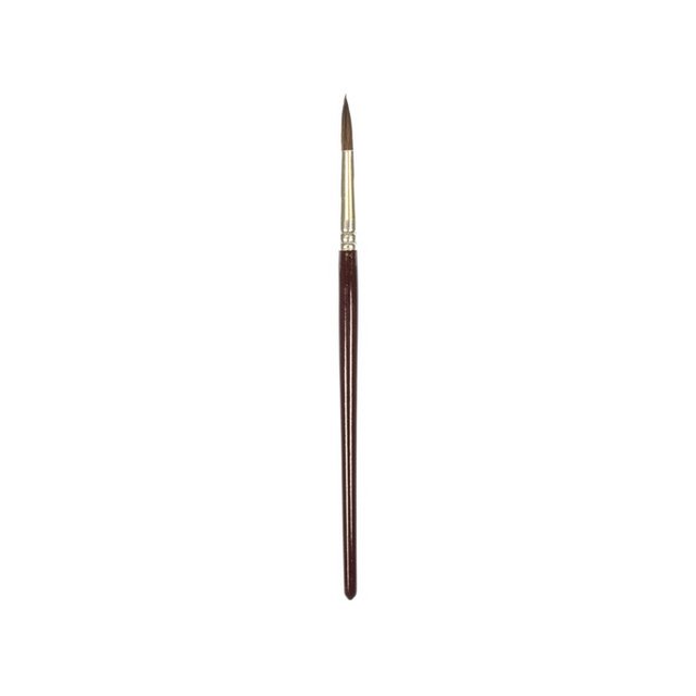 Rundbürste Kangaro %2310 kurz lackiertes Holz, Box mit 12 Stück