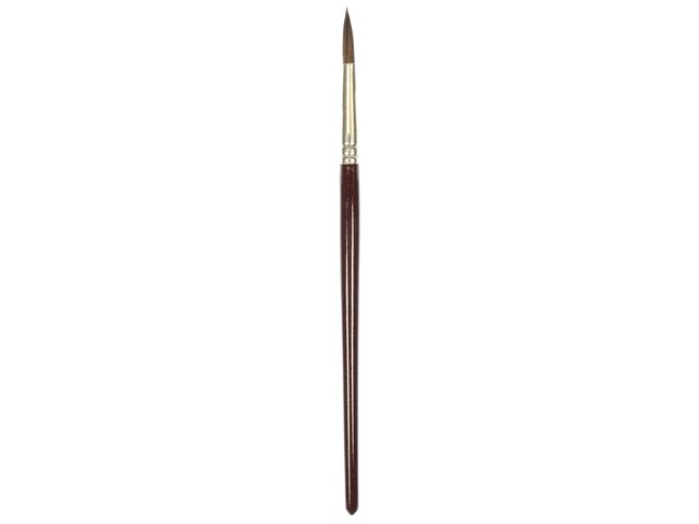 Rundbürste Kangaro %2310 kurz lackiertes Holz, Box mit 12 Stück
