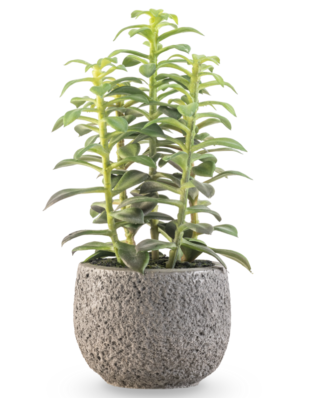 Kunstig sukkulent plante i dekorativ potte 25 cm