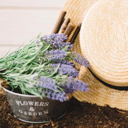 Gift Set - Spa Lavender & Rosemary - 1 Piece - MADE TO ORDER