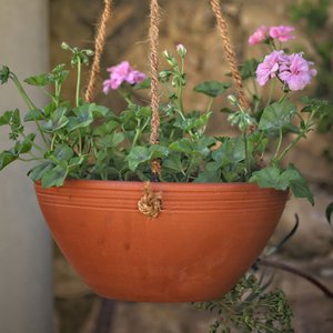 Hanging pot