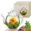 Creano Glasteekanne mit Deckel 500ml hitzebeständig