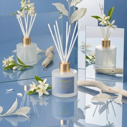 Daydreamer 100 ml Duftstäbchen-Diffusor