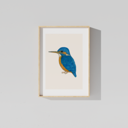 A fine art print featuring a vibrant blue and orange kingfisher bird. The print showcases the bird's distinctive coloring and detailed features, making it a beautiful addition to any nature-inspired decor.